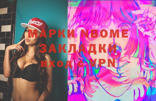 apvp Вяземский
