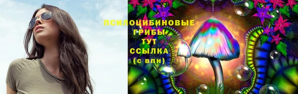 шишки Вязьма