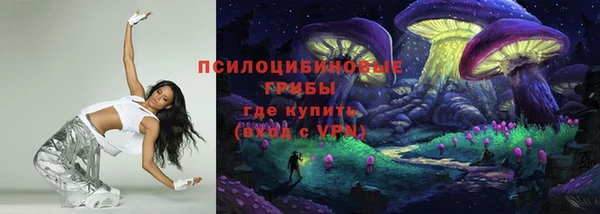 apvp Вяземский