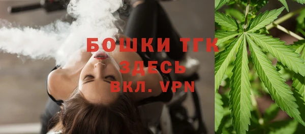 apvp Вяземский