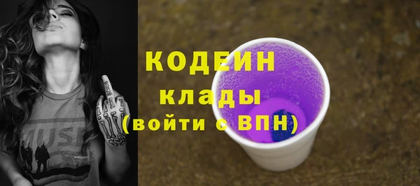 apvp Вяземский