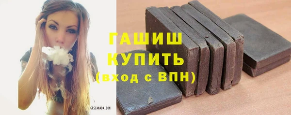 apvp Вяземский