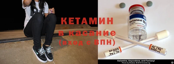 шишки Вязьма