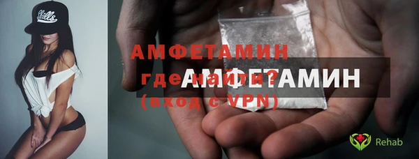 apvp Вяземский