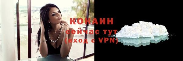 шишки Вязьма