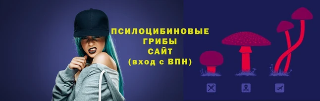 хмурый Вязники
