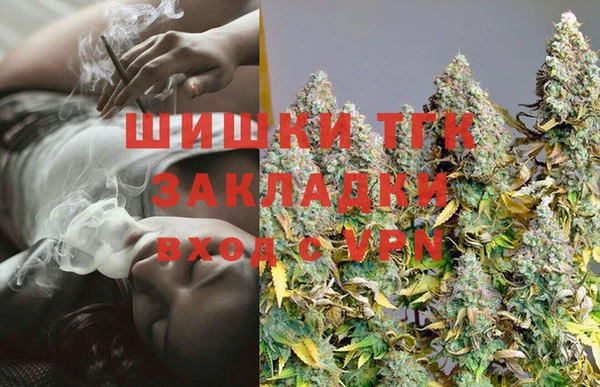 шишки Вязьма