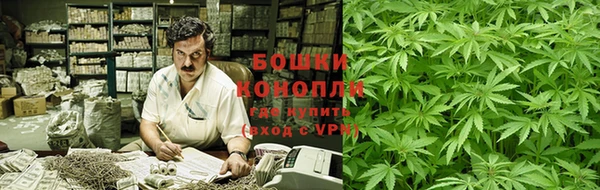 apvp Вяземский