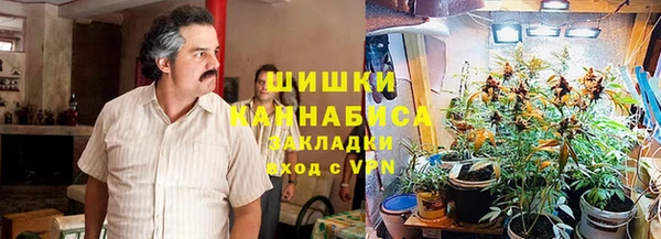 шишки Вязьма