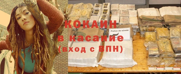 apvp Вяземский