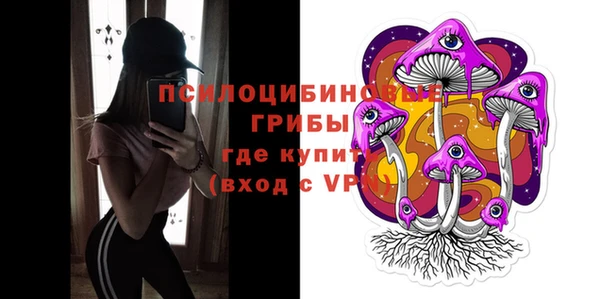 шишки Вязьма