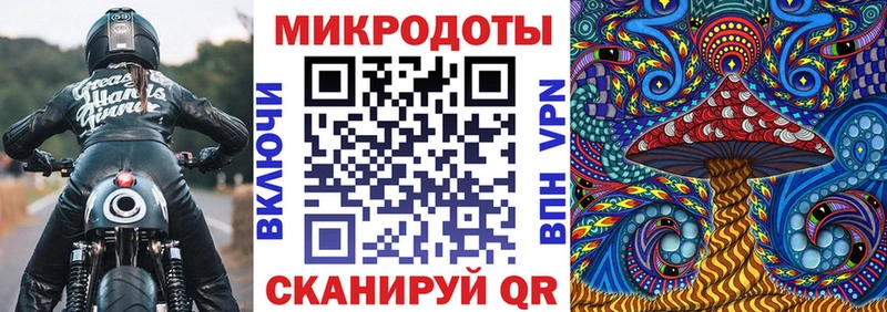 Купить Качканар Псилоцибиновые грибы мухоморы
